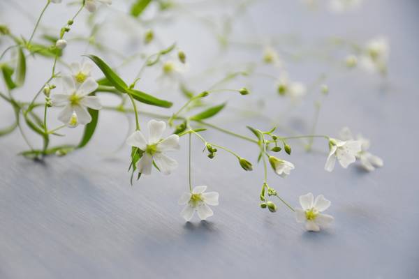 Test2