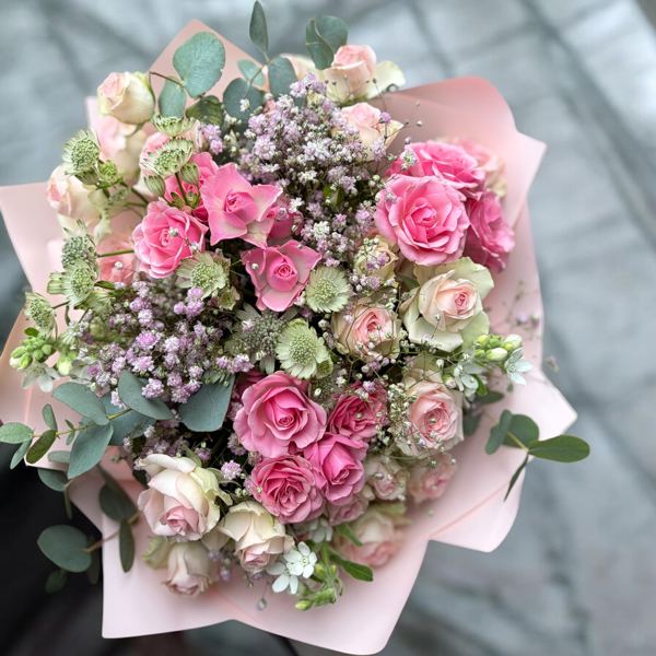 Kytica Noble Pink 