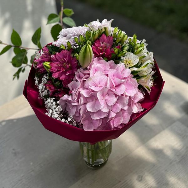 Kytica Pink