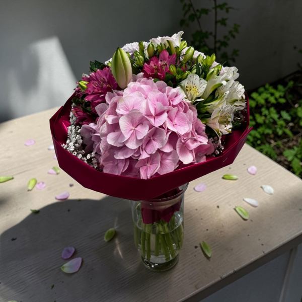 Kytica Pink