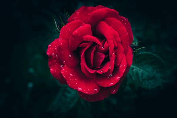 Test4