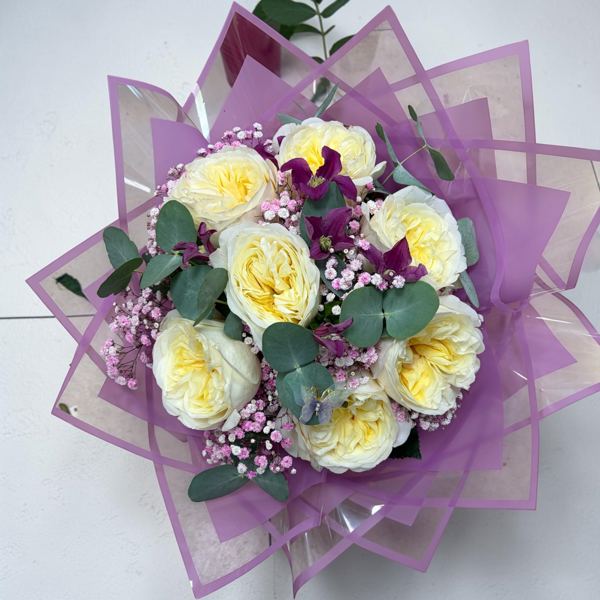 Kytica Pure Elegance