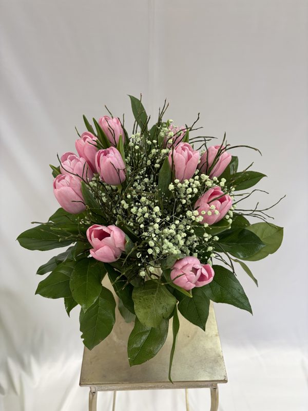 Kytica Jarná krása