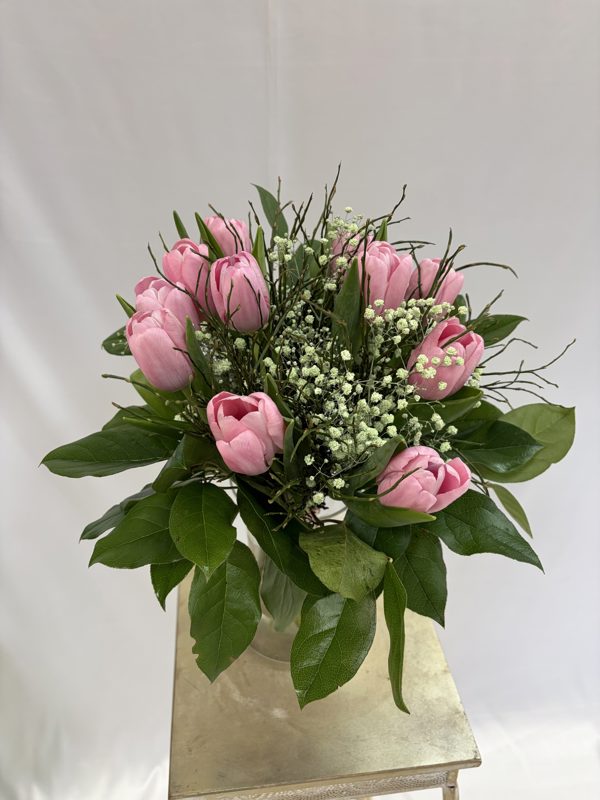 Kytica Jarná krása